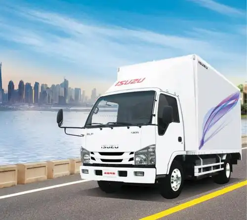 庆铃五十铃100p国六轻卡