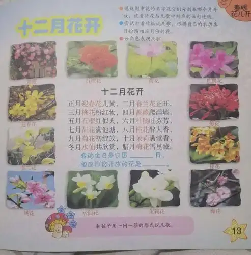 儿歌: 十二月花开