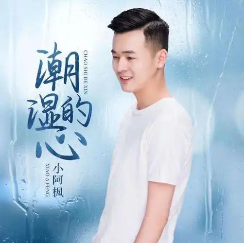 小阿枫个人资料简介:小阿枫翻唱的所有歌曲大全 附详情始末【图】