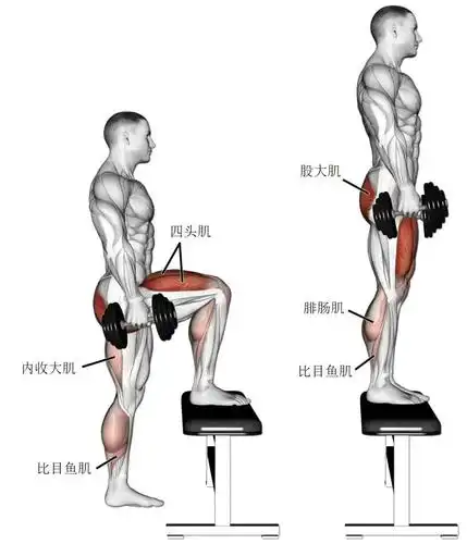 【耀健身】这组腿部训练动作,强化你的下肢力量!