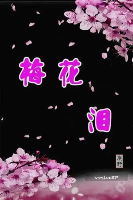 歌曲.梅花泪