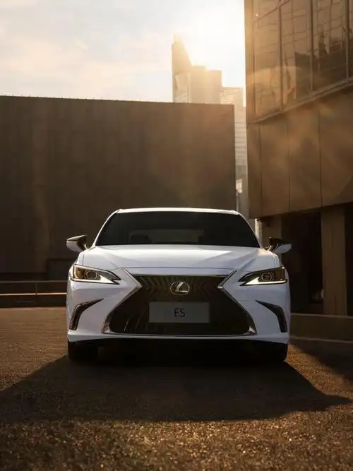 ✨雷克萨斯es,低调的奢华,你值得拥有!_雷克萨斯es社区_易车社区