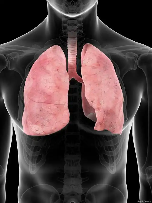 养肺"冠军"找到了,每天吃一点,清肺排烟毒,肺干净不咳嗽!