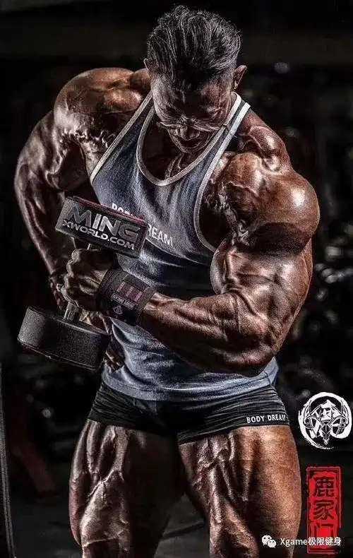 一组图告诉你,鹿晨辉有多巨大!|健美|健身|肌肉_网易订阅