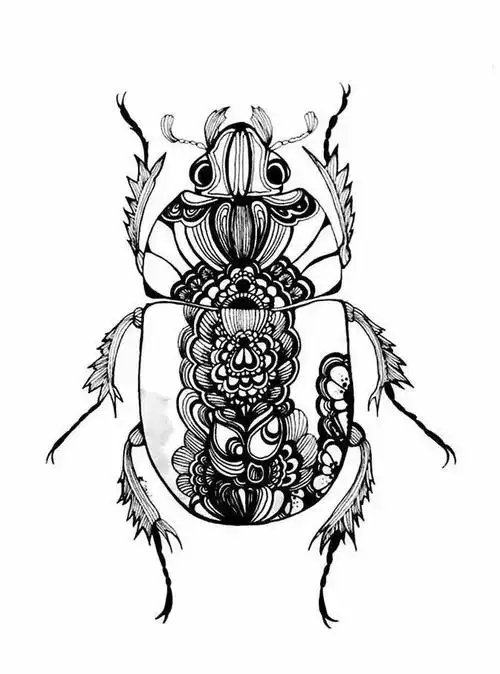 这样画昆虫,提高你的线描装饰能力