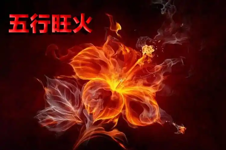 7,8号起,五行旺火,财神莅临,贵人现身,里外皆是喜的5大星座