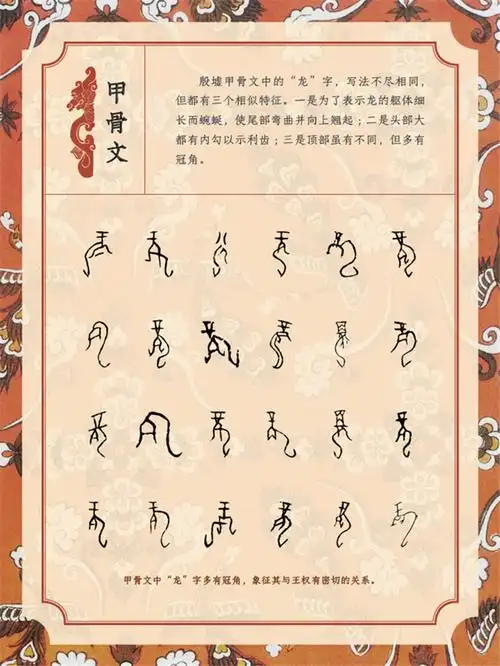 识龙字"卡片,展示"龙"字从甲骨文,金文,小篆,隶书至楷书的演变历程