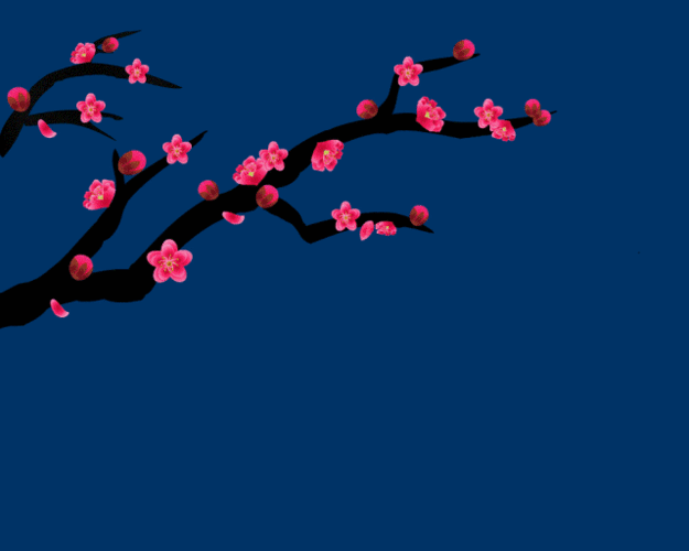 莘庄人身边竟有一片12万平方米的梅花秘境千余株花已进入盛放期