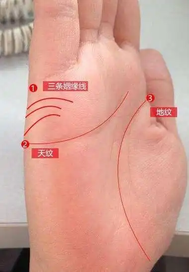 秒懂手相:从婚姻线看结婚早晚