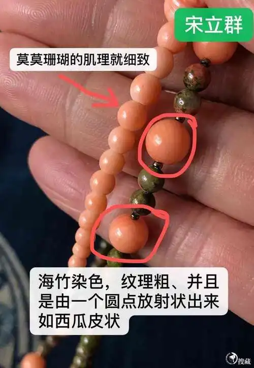 简短讲给你听:真假珊瑚