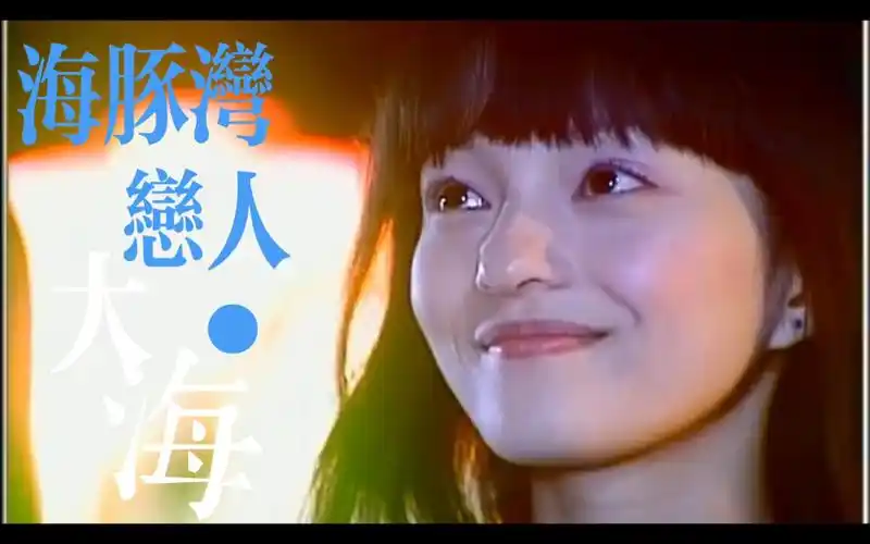 【张韶涵】海豚湾恋人‖我是六号易天边,请听我的声音