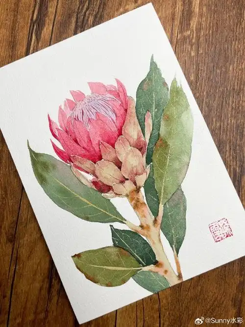 水彩##水彩花卉