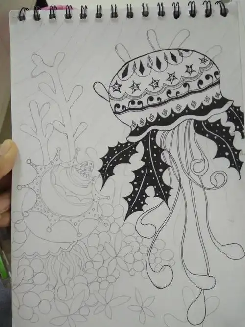 线描画海底世界