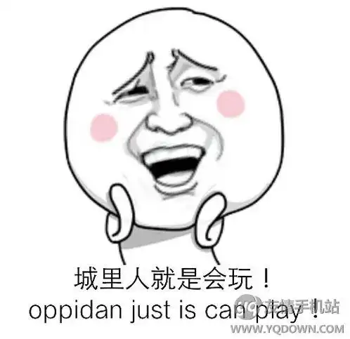 你们城里人真会玩表情包下载-你们城里人真会玩儿完整版表情包下载 v