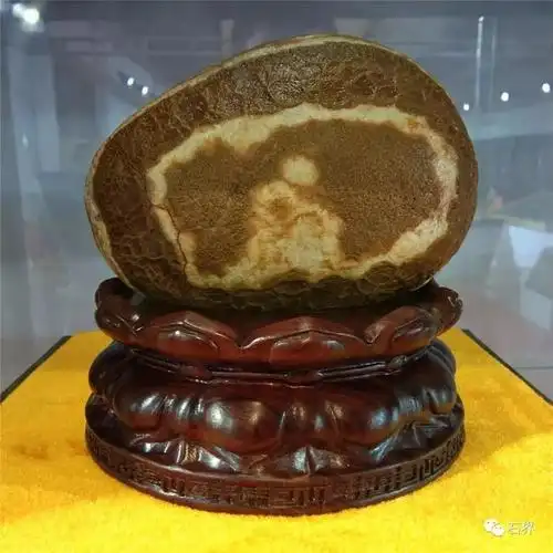 两个新石种销售破百万!别再说奇石卖不出去了!