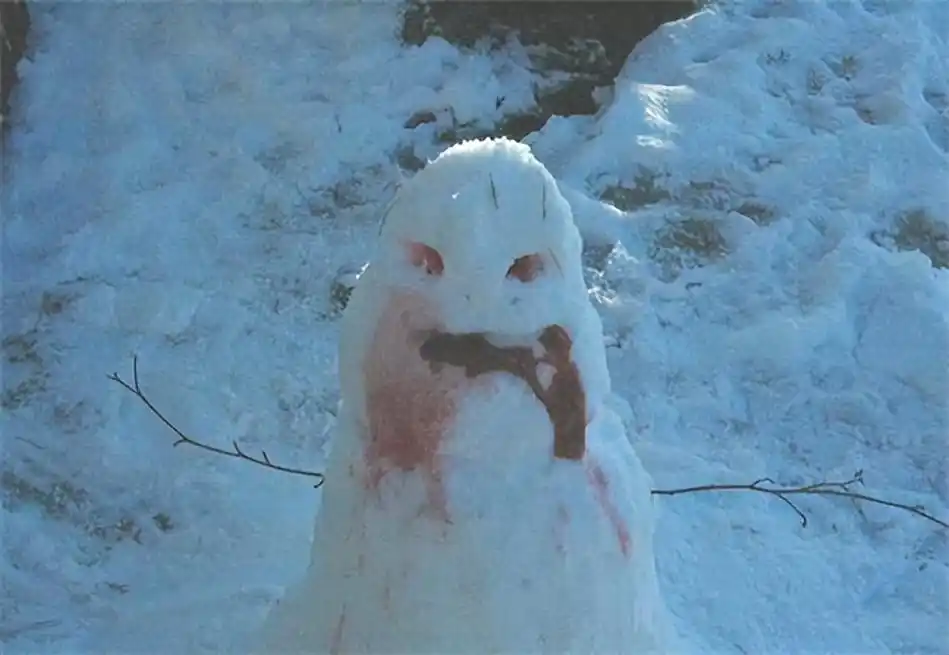 2008年东北肢体雪人案:四名女学生尸体被拼成雪人,惨案至今未破