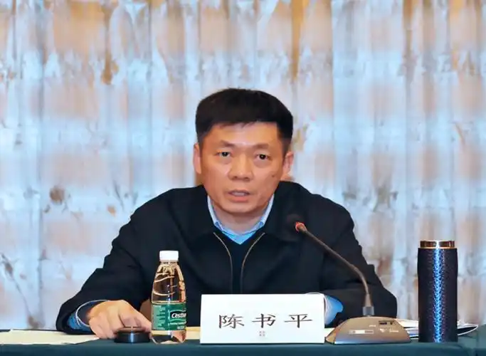 省财政厅陈书平副厅长对我市财政工作提出四要求