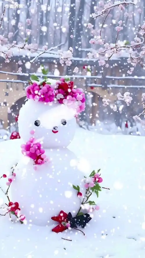 雪花飘飘,景色好美.