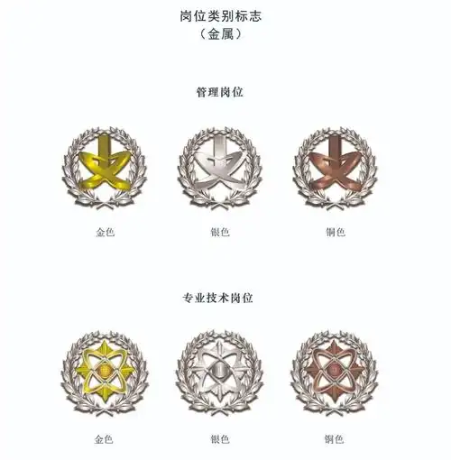 文职风采 | 文职人员标志服饰最全照片,值得收藏!