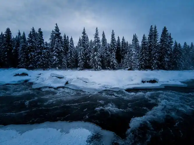 2020年你拍的最好看的一张照片是什么背后有什么故事