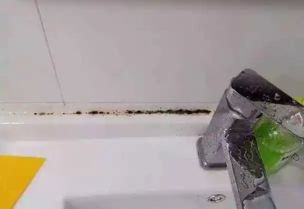 玻璃胶怎么清洗 衣服粘到玻璃胶怎么清洗(图2)