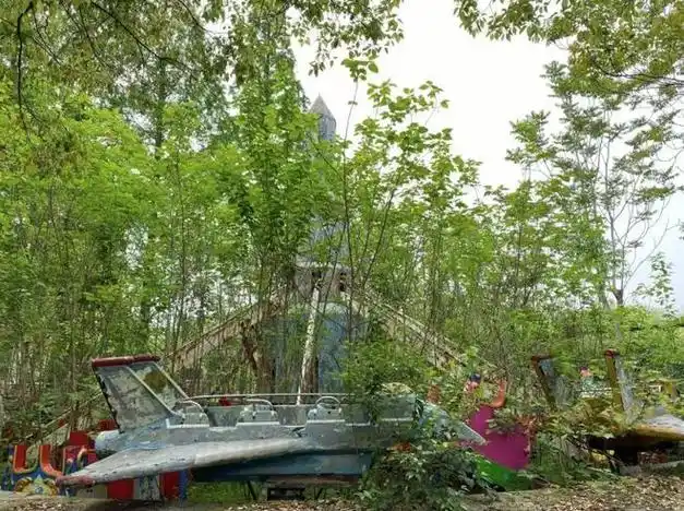 上海一废弃乐园成网红打卡点!杂草丛生,荒无人烟,宛若恐怖片现场.