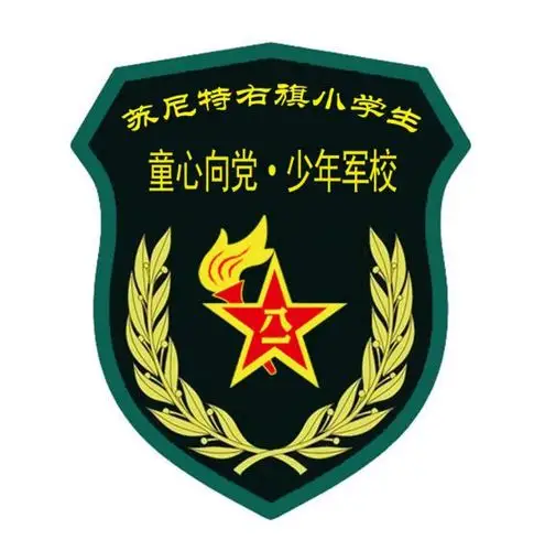 苏尼特右旗小学生2019年童心向党少年军校第一期训练营开营第二天