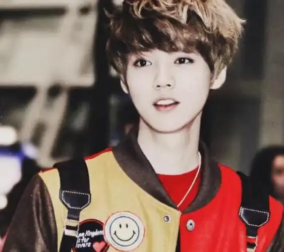 exo中有四位中国成员,分别为吴某凡,张艺兴,鹿晗和黄子韬.