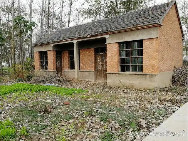 老孙的老房子有些破旧,看到左邻右舍都在盖砖石结构的大平房,有些着急