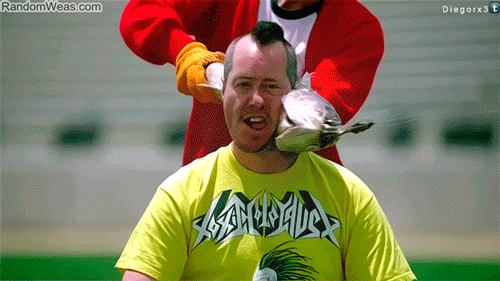 大鱼可怕贴脸恶心gif动图_动态图_表情包下载_soogif