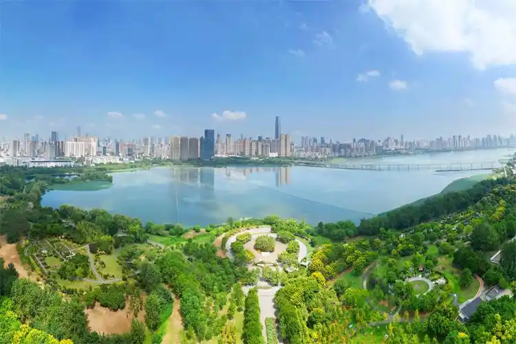 面向武汉征集20组家庭园艺设计方案_要闻_新闻中心_长江网_cjn.cn