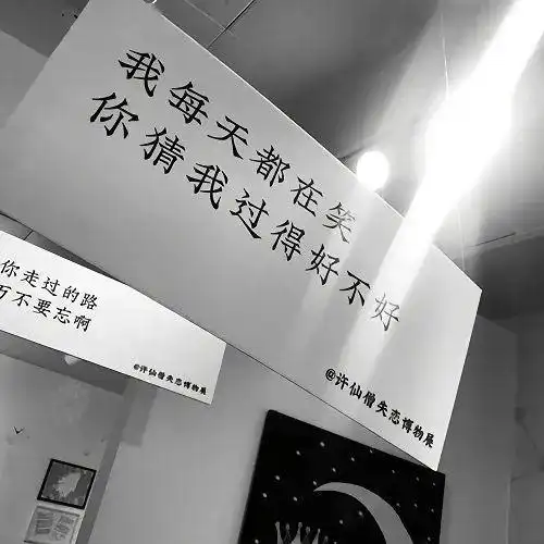 【爆笑段子】朋友圈背景图锦集!快收好!哈哈哈.