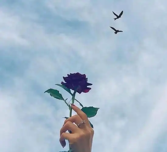 让自己瞬间释然的句子睿智通透看完明白很多