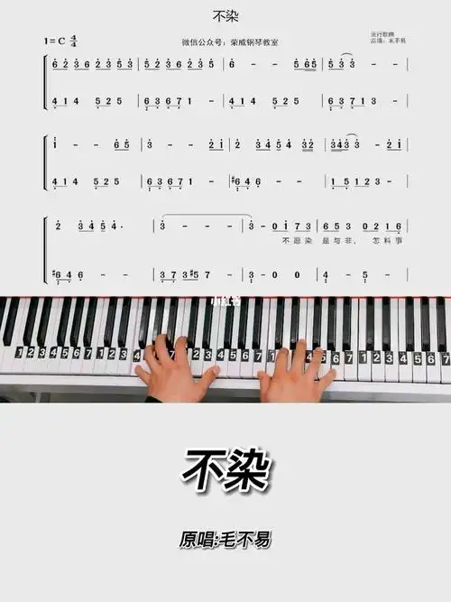 不染钢琴简谱教学