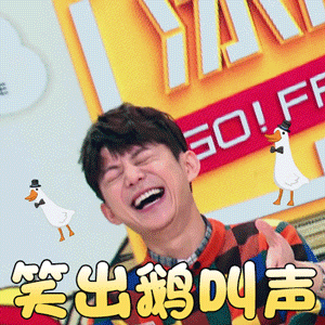 拜托了冰箱何炅笑出鹅叫声开心gif动图_动态图_表情包下载_soogif