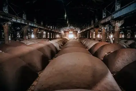 匠"心"加创"新",产品变精品——2023"光影中国"影像采风行走进五粮液