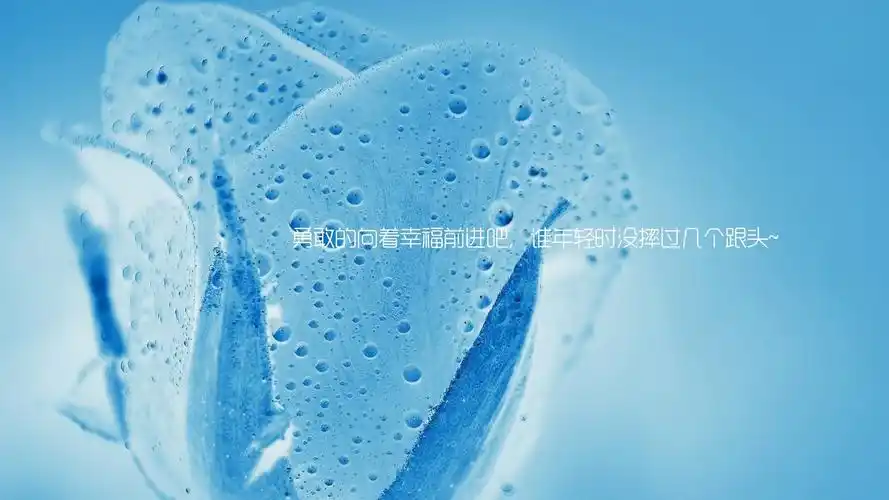 文字勇敢幸福文字控壁纸