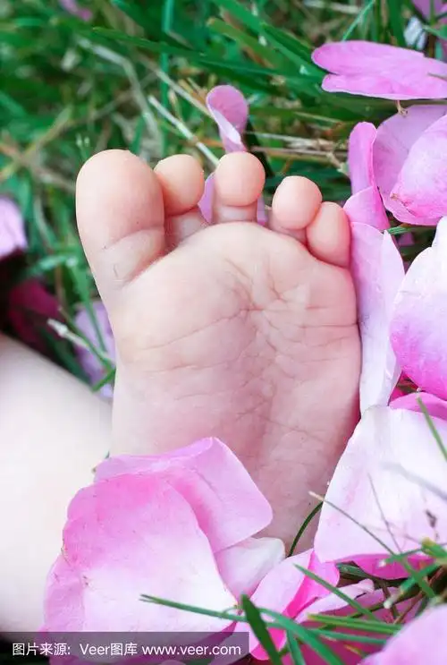 可爱的小脚