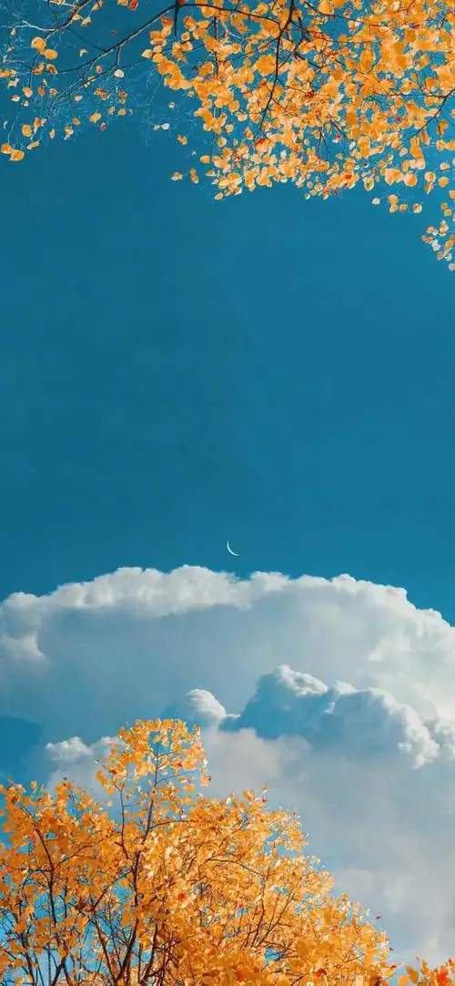 好看的微信状态背景图大全 - 知乎