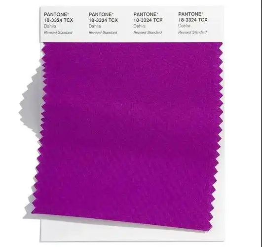 大理菊紫是醒目的紫色流露动感.