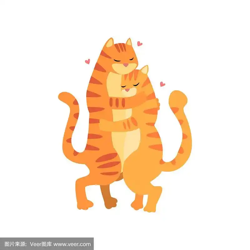 一对可爱的老虎在爱拥抱对方,两个快乐的动物拥抱与心在他们的头矢量