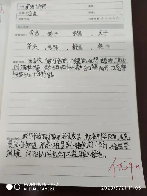 鸿鹄中队《夏洛的网》读书笔记精选系列(一)
