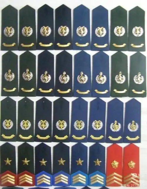 文职干部军衔标志