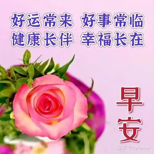 美好暖心的早安正能量问候语清晨很温馨的早上好祝福图片
