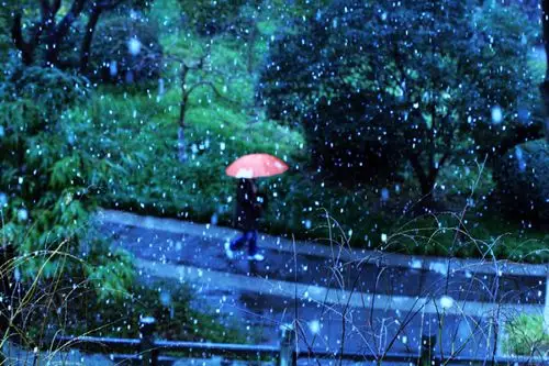 漫天飞舞的雪花