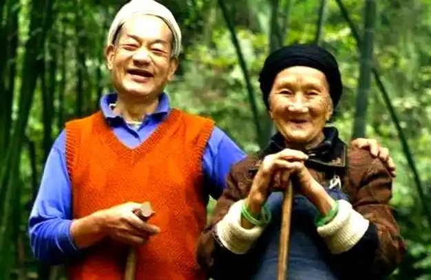 爱情天梯:刘国江与徐朝清的永恒传奇