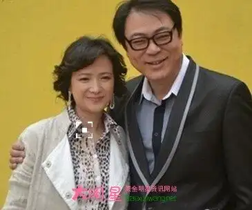 何晴现任老公是谁何晴老公资料介绍