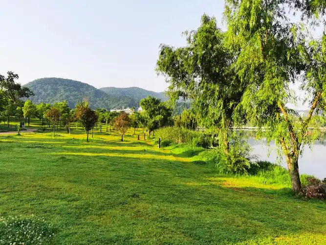 随手拍长沙西湖公园