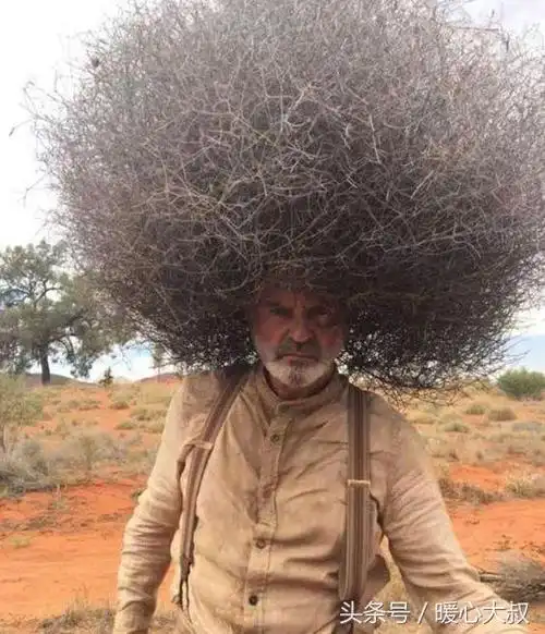 看看外国人新年笑死人的发型看到第一张就被笑喷了