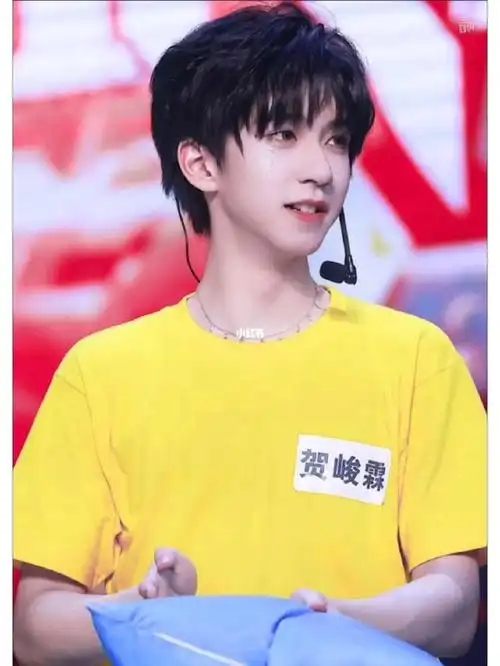 贺峻霖详细资料  #向全世界安利贺峻霖  #贺峻霖